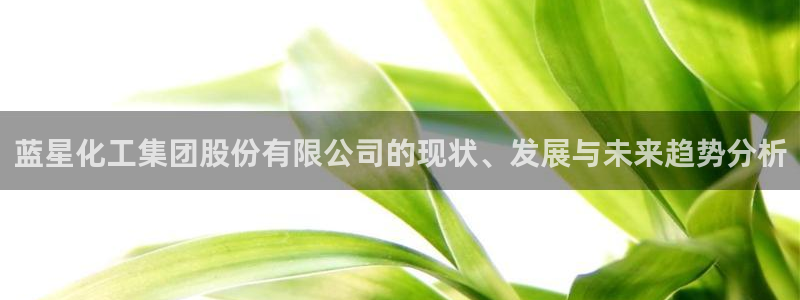 球盟会app最新地址在哪找：蓝星化工集团股份有限公司的现状、