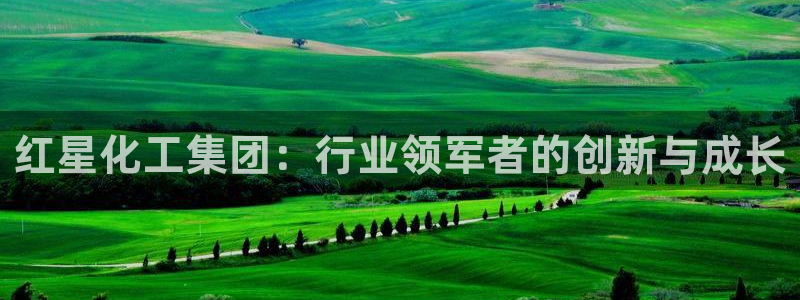球盟会黑款吗知乎：红星化工集团：行业领军者的创新与成长