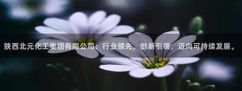 球盟会网址：陕西北元化工集团有限公司：行业领先，创新引领，迈