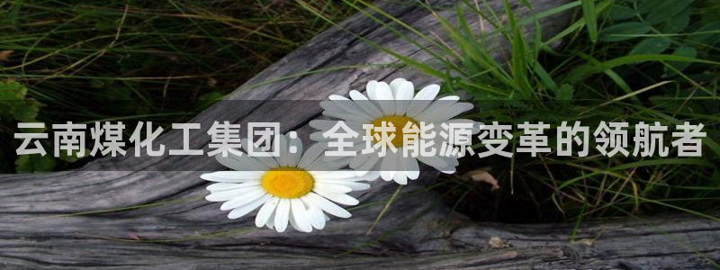 球盟会官网入口：云南煤化工集团：全球能源变革的领航者