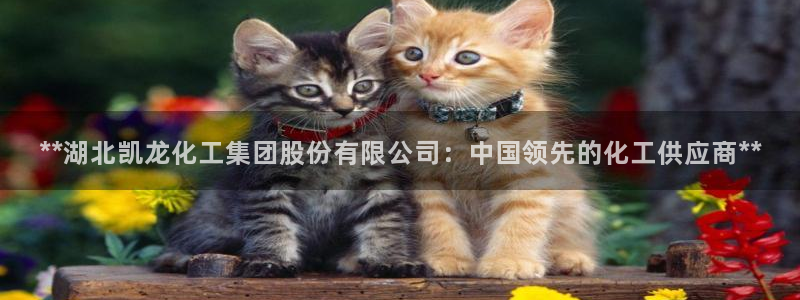 球盟会黑款吗知乎：**湖北凯龙化工集团股份有限公司：中国领先