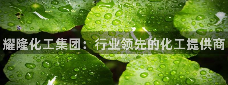球盟会优惠券：耀隆化工集团：行业领先的化工提供商