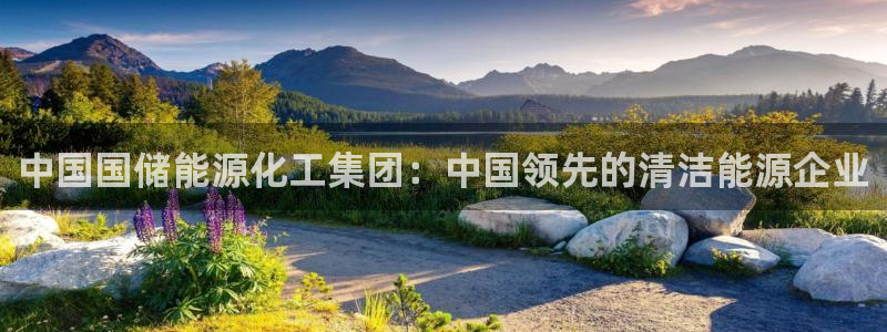 球盟会(中国)官方网站：中国国储能源化工集团：中国领先的清洁