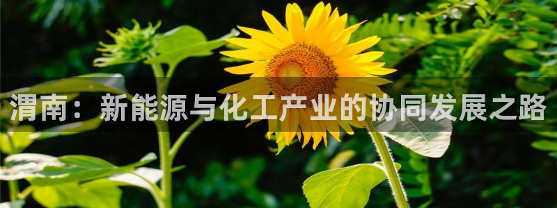 球盟会最新网：渭南：新能源与化工产业的协同发展之路
