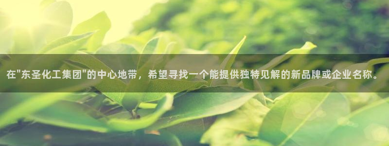 球盟会官网网页版：在\