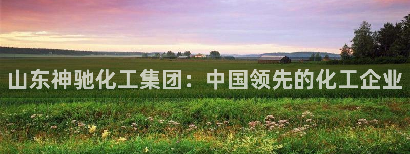 球盟会最新网：山东神驰化工集团：中国领先的化工企业
