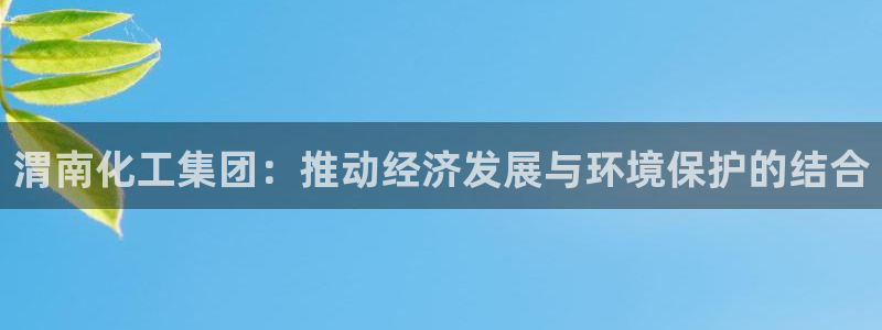 球盟会和中欧合作吗：渭南化工集团：推动经济发展与环境保护的结