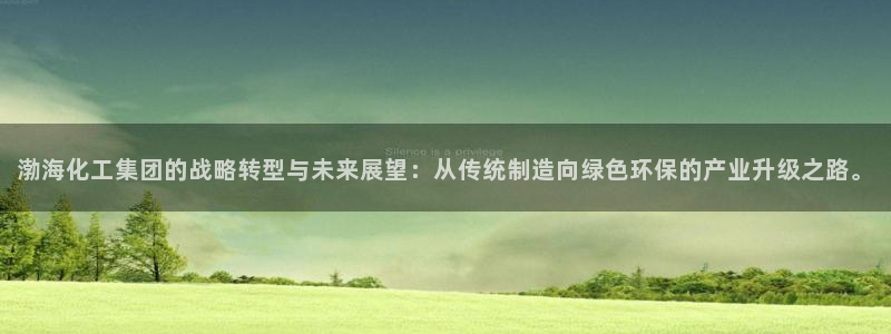 球盟会地址：渤海化工集团的战略转型与未来展望：从传统制造向绿