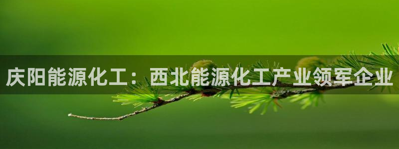 千亿球盟会：庆阳能源化工：西北能源化工产业领军企业