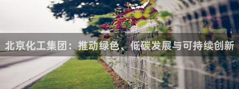 球盟会在线网站：北京化工集团：推动绿色、低碳发展与可持续创新