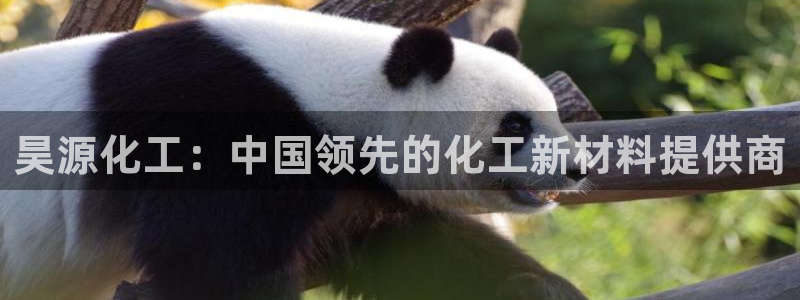 球盟会qmh网页版登录：昊源化工：中国领先的化工新材料提供商