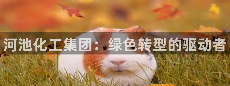 球盟会能退钱吗现在：河池化工集团：绿色转型的驱动者