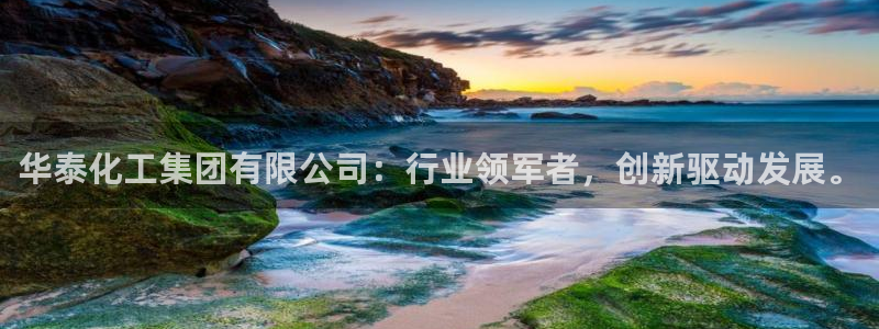 球盟会吧：华泰化工集团有限公司：行业领军者，创新驱动发展。