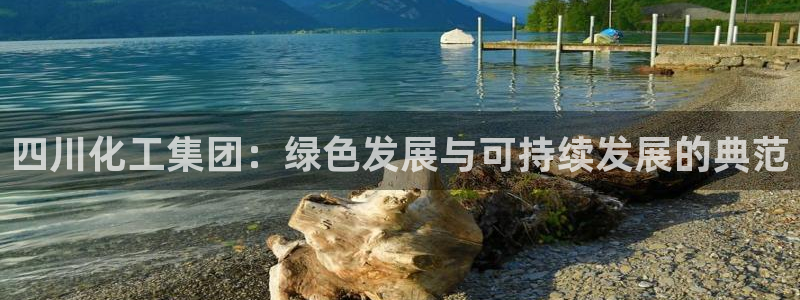 球盟会官方网站是什么：四川化工集团：绿色发展与可持续发展的典