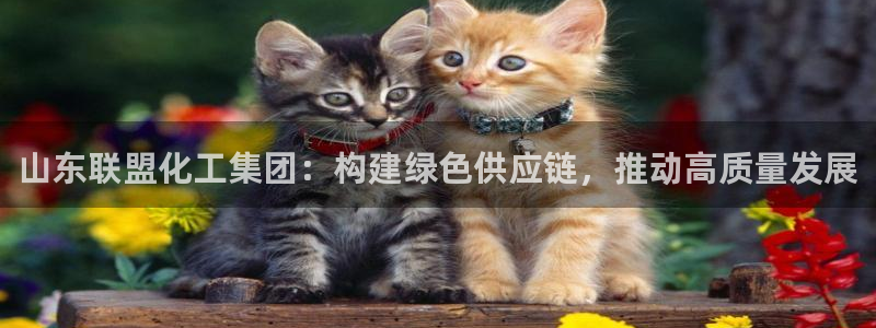 球盟会官网网页版：山东联盟化工集团：构建绿色供应链，推动高质