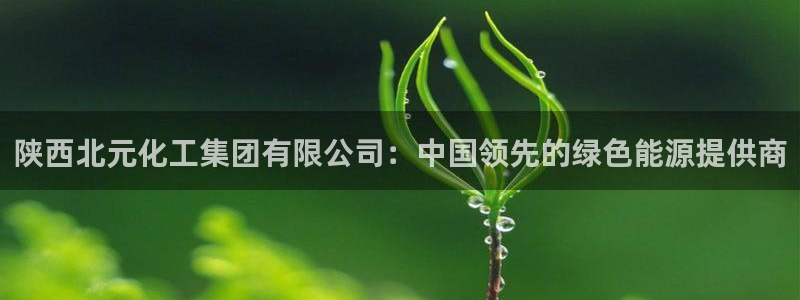 球盟会app最新地址在哪找：陕西北元化工集团有限公司：中国领