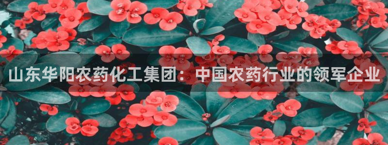 球盟会在线登录官网：山东华阳农药化工集团：中国农药行业的领军