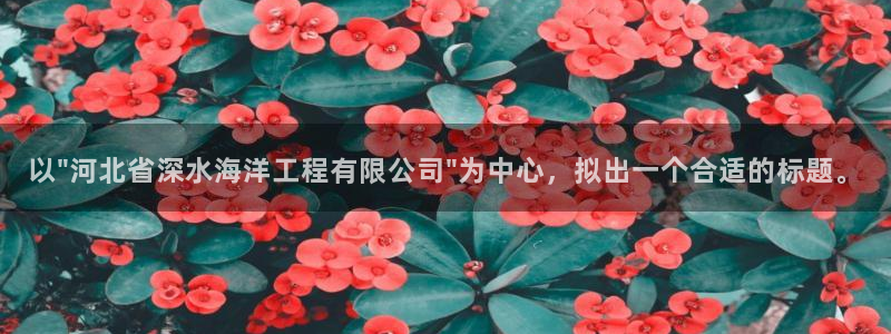 球盟会官方网页登录：以\