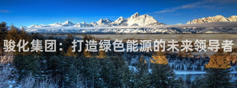 球盟会app最新地址在哪里：骏化集团：打造绿色能源的未来领导