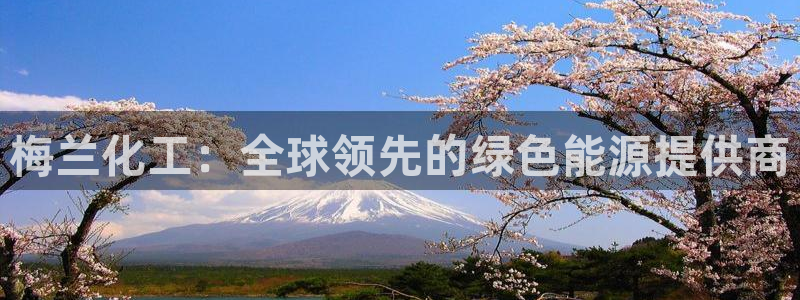 球盟会里面有打牌的嘛知乎：梅兰化工：全球领先的绿色能源提供商
