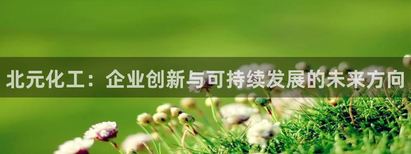 球盟会官方登录平台入口：北元化工：企业创新与可持续发展的未来