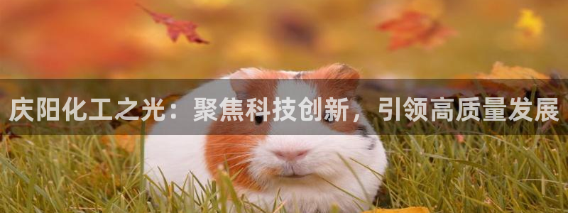 球盟会APP下载：庆阳化工之光：聚焦科技创新，引领高质量发展