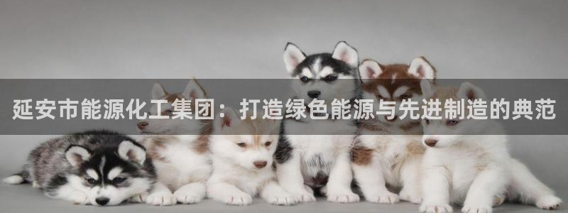 球盟会登陆：延安市能源化工集团：打造绿色能源与先进制造的典范