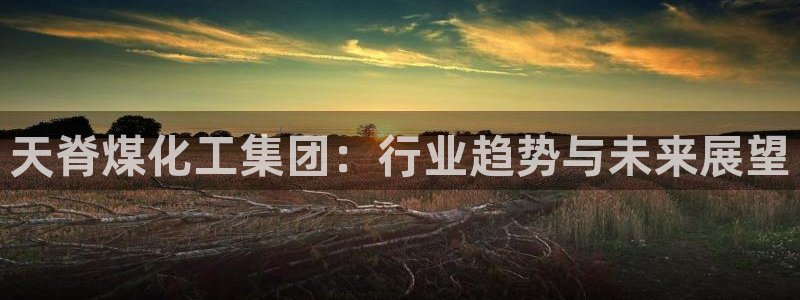 球盟会官方入口：天脊煤化工集团：行业趋势与未来展望