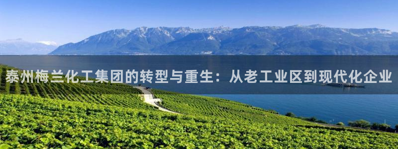 球盟会入口：泰州梅兰化工集团的转型与重生