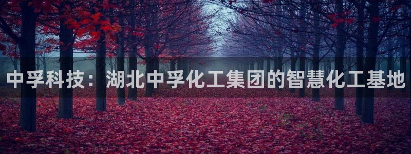 球盟会qmh：中孚科技：湖北中孚化工集团的智慧化工基地