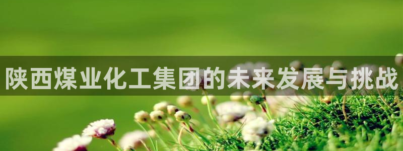 球盟会综合体育平台：陕西煤业化工集团的未
