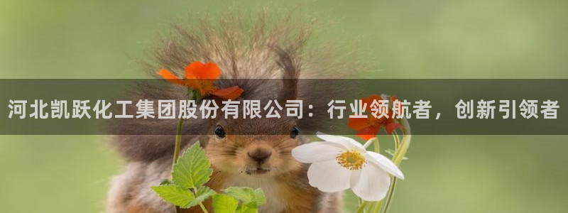 球盟会官方入口：河北凯跃化工集团股份有限