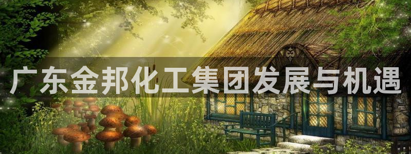 球盟会体育平台：广东金邦化工集团发展与机遇