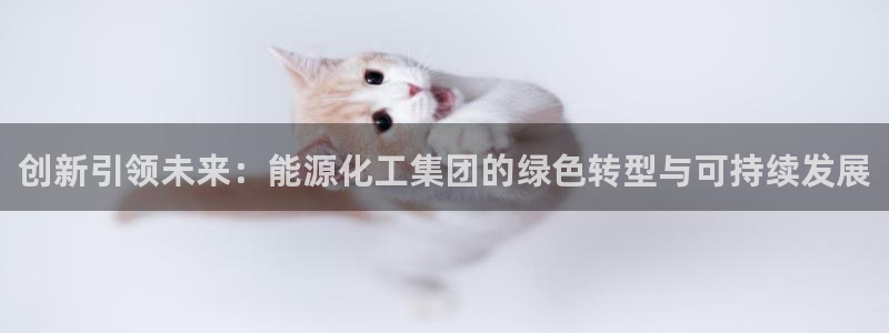 球盟会官方入口：创新引领未来：能源化工集团的绿色转型与可持续
