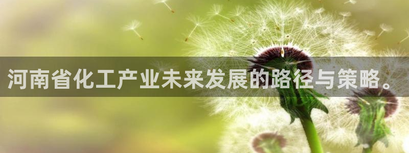 球盟会可以提现么：河南省化工产业未来发展的路径与策略。
