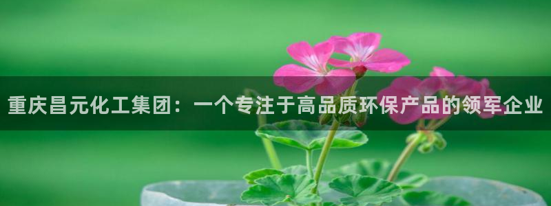 球盟会唯一：重庆昌元化工集团：一个专注于高品质环保产品的领军