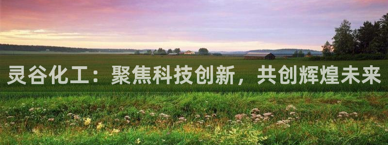 球盟会app网址多少号：灵谷化工：聚焦科技创新，共创辉煌未来