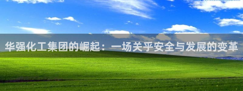 球盟会头号玩家是谁：华强化工集团的崛起：一场关乎安全与发展的