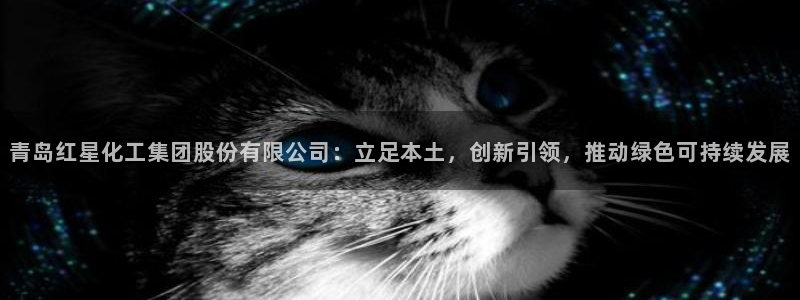 球盟会app最新地址下载安装：青岛红星化工集团股份有限公司：