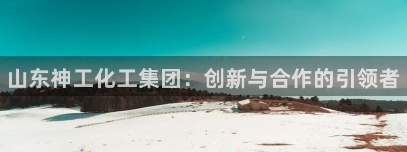 球盟会有没有黑单的人：山东神工化工集团：创新与合作的引领者