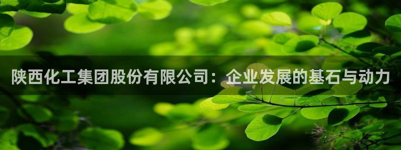球盟会黑网：陕西化工集团股份有限公司：企业发展的基石与动力