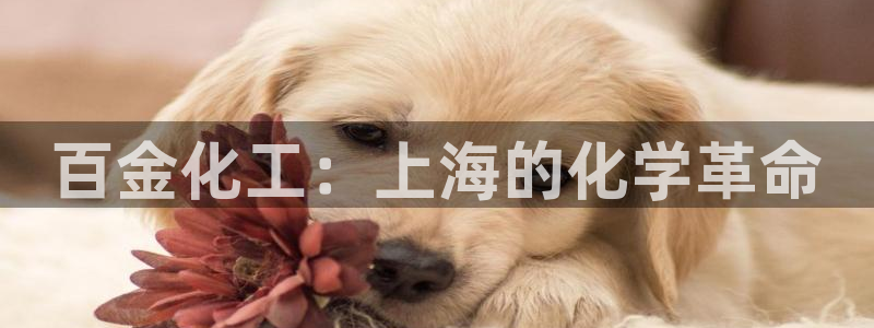 球盟会有没有黑单的活动：百金化工：上海的化学革命