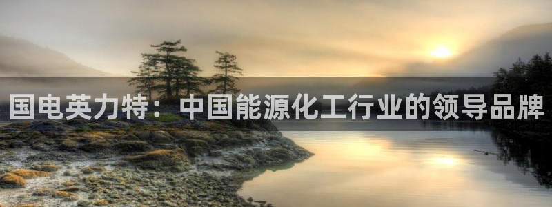 球盟会黑钱：国电英力特：中国能源化工行业的领导品牌