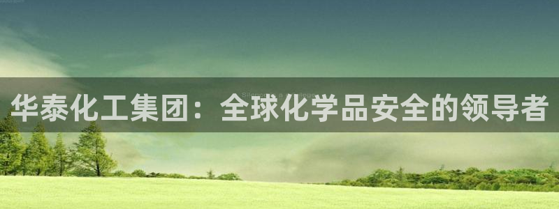 球盟会官方平台入口：华泰化工集团：全球化学品安全的领导者