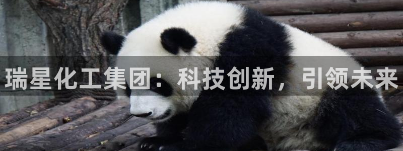 球盟会综合体育平台怎么样：瑞星化工集团：科技创新，引领未来