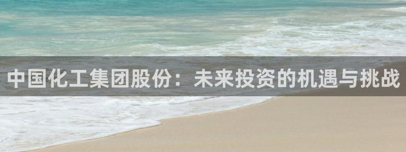 球盟会网页版：中国化工集团股份：未来投资的机遇与挑战