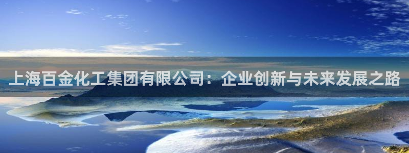 球盟会黑款吗还是白款：上海百金化工集团有限公司：企业创新与未