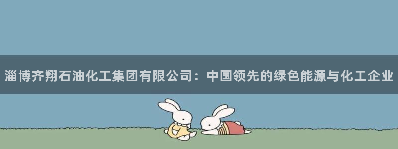 球盟会qmh登录地址：淄博齐翔石油化工集团有限公司：中国领先