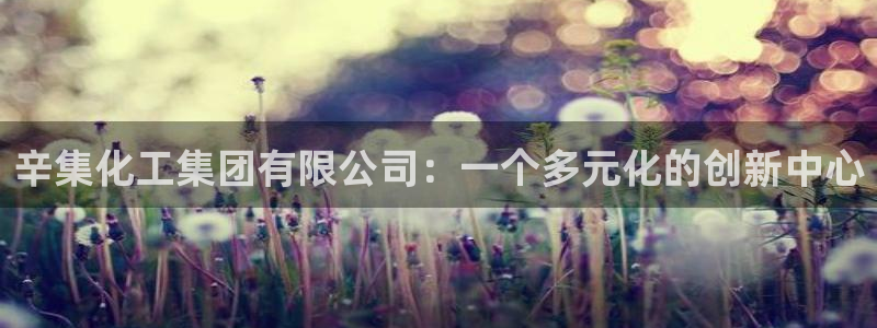 球盟会官方登录平台：辛集化工集团有限公司：一个多元化的创新中