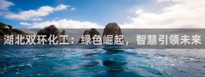 球盟会综合体育平台怎么样：湖北双环化工：